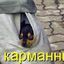 Олена